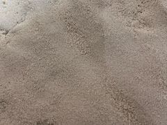 -大米和小米儿童成长中心·社交言语·感统·学习力提升(光明中心)