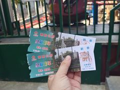 -朝阳公园游乐园