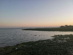 -七的湖·晚芳亭·阳澄湖农家菜·大闸蟹(莲花岛店)