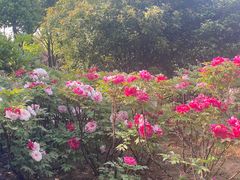 -幕燕滨江·长江观音景区