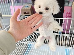 -济南高新万达广场