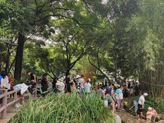 -成都市活水公园