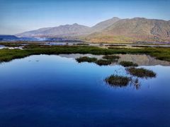 -腾冲北海湿地