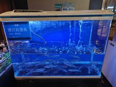 -熙楼(翠湖店)