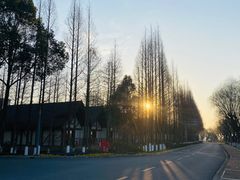 -太阳岛度假酒店