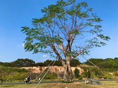 -露天矿生态公园