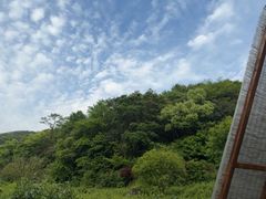 -北仑森林植物园