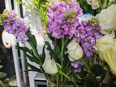 -FEI FEI FLOWER鲜花店·气球派对·宝宝宴布置(虹口德必运动Loft店)