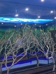 -未来动物城动物主题公园(大悦城店)