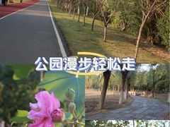 -艾溪湖湿地公园