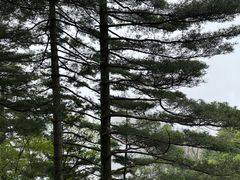 -尧山风景区