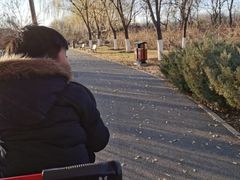 -永定河休闲森林公园