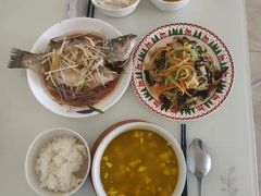 -鲸励母婴月嫂(望京店)