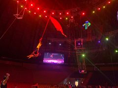 -俄罗斯国家大马戏团