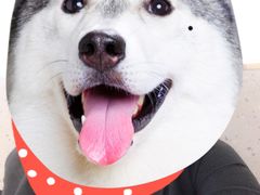 -白箱照相馆·外拍