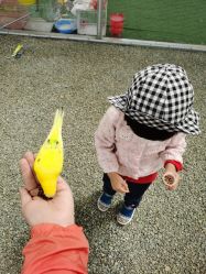 -萌宠亲子动物乐园(槐房万达店)