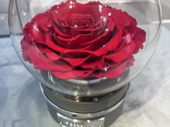 -ROSEONLY诺誓(广州K11店)