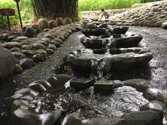 -成都市活水公园