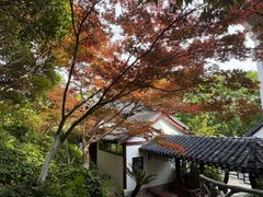 -幕燕滨江·燕子矶公园