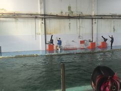 -北戴河圣蓝海洋公园