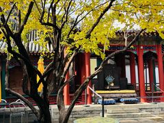 -宫事颐庭·老佛爷贵寿下午茶(颐和园店)