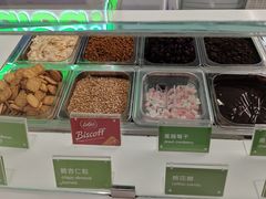 -Salud撒露欧洲冻酸奶(五道口购物中心店)