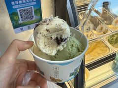 -东北农业大学饺子园