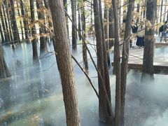 -东湖落雁景区