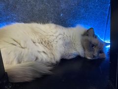 -零纪元VR体验馆·桌游(黄浦店)