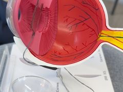 -武汉大学附属爱尔眼科医院(湖北总院)