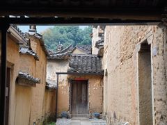 -杨家堂村