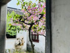 -耦园