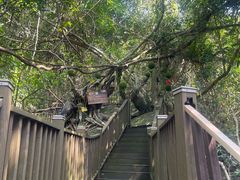 -七仙岭温泉国家森林公园