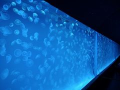 -多彩贵州城极地海洋世界