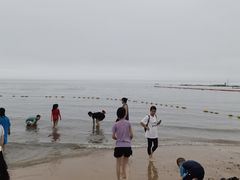 -东戴河风景区-止锚湾