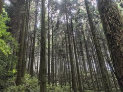 -上色见熊野座神社