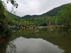 -呀诺达热带雨林