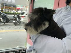 -全心全意连锁动物医院·微创中心·内科急重症·心脏专科(丰管路店)