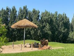 -北京野生动物园