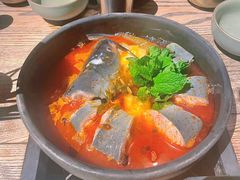 酸汤鱼-毛辣果·酸