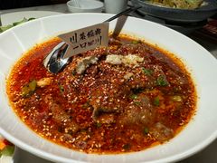 -初蓉丨遇见新川菜(亲贤街荣耀店)