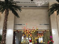 -常州环球恐龙城维景国际大酒店