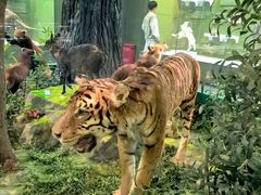 -国家自然博物馆