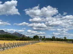 -北京龙庆四季香农家饭庄·灶台鱼·碳烤虹鳟鱼(龙庆峡店)