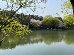 -八卦田遗址公园