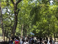 -西湖风景区十里琅珰-五云山