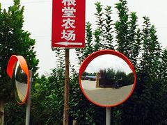 iphone_upload_pic-草根堂农场