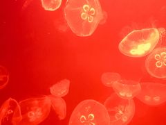 -福州罗源湾海洋世界旅游区