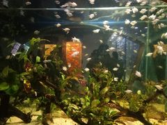 -梦幻海洋王国(吾悦广场张家港店)