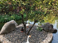 景观位-西双版纳洲际度假酒店-海鲜傣味烧烤·侬香全日制餐厅